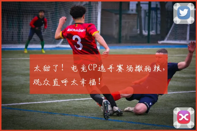 太甜了！电竞CP选手赛场撒狗粮，观众直呼太幸福！