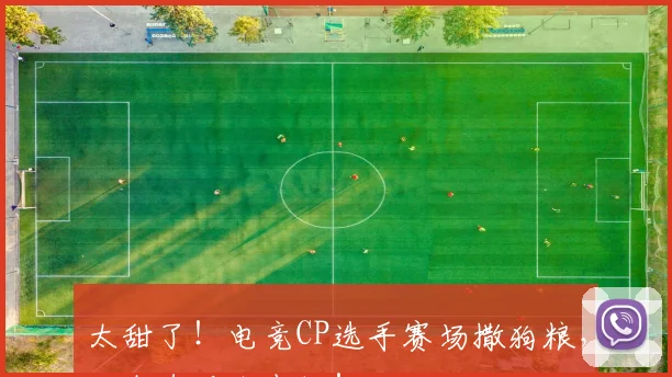 太甜了！电竞CP选手赛场撒狗粮，观众直呼太幸福！